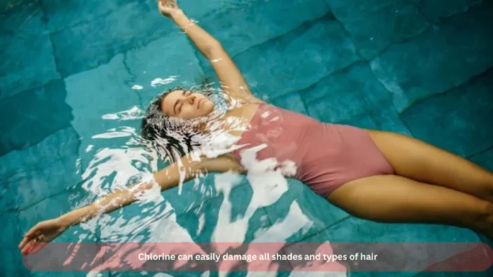 chlorine damage, swimming pool, damaged hair hair