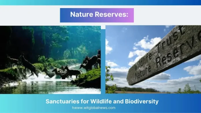 nature preserves, nature reserves, wildlife conservation, wildlife preservation, the wild life animals, wildlife reserves, wildlife protection, protected areas, nature protection